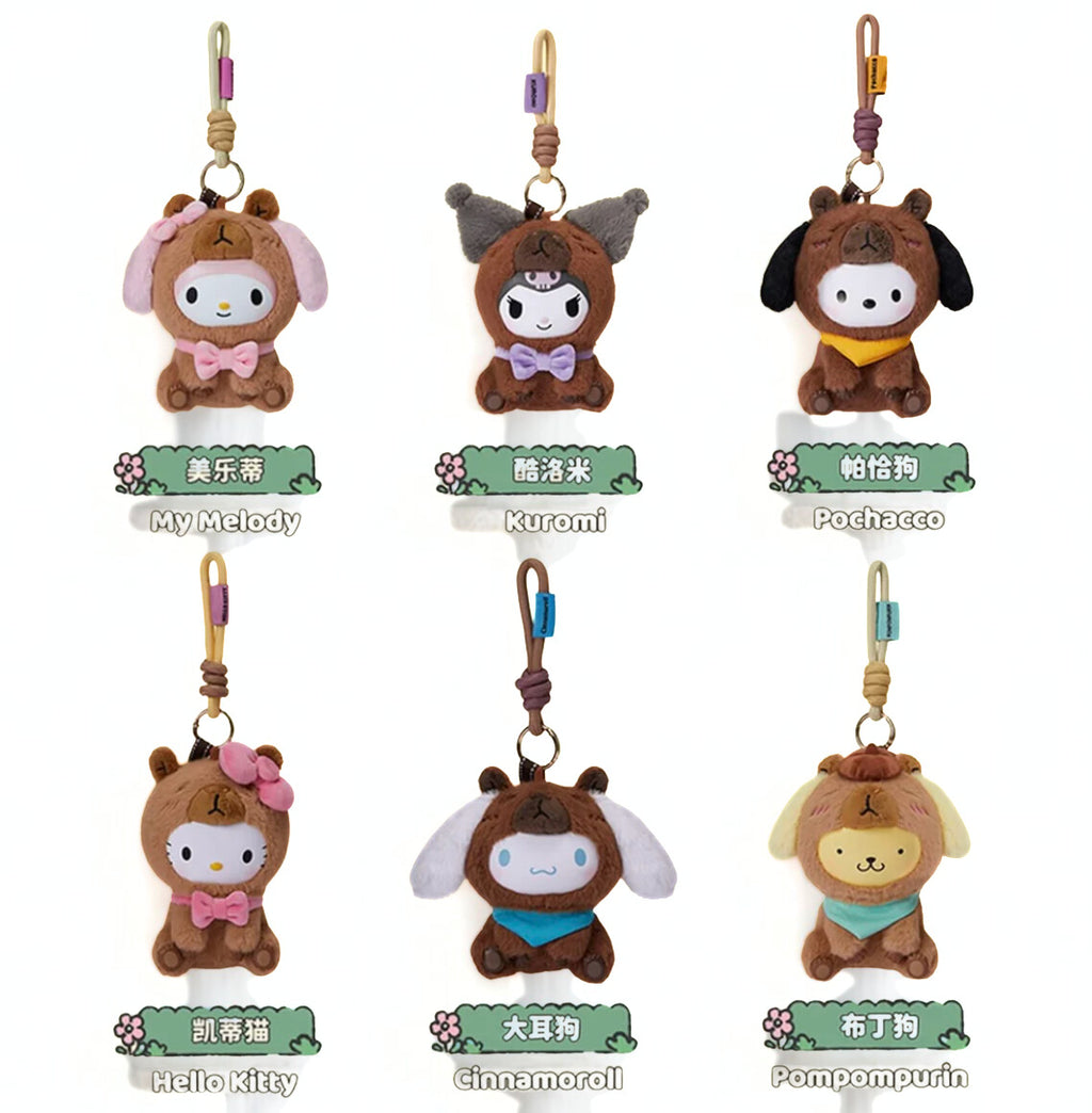 Sanrio Capybara Zen Series Vinyl Plush Blind Box
